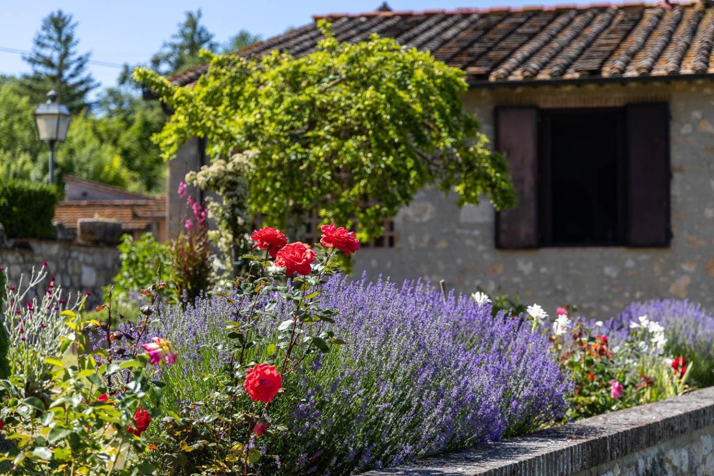 Apartamento Il Fienile Dei Cardinali Colle di Val d'Elsa Exterior foto