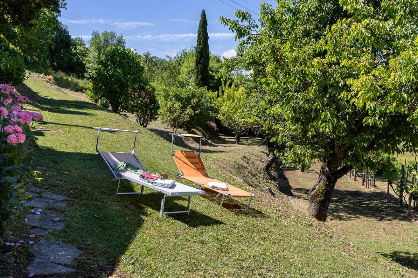 Apartamento Il Fienile Dei Cardinali Colle di Val d'Elsa Exterior foto